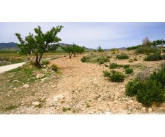Finca rustica en Venta en Pinós, el/Pinoso, Alicante