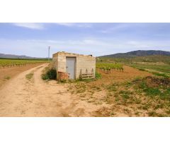 Finca rustica en Venta en Pinós, el/Pinoso, Alicante