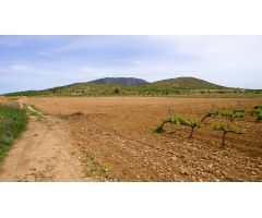 Finca rustica en Venta en Pinós, el/Pinoso, Alicante