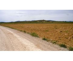 Finca rustica en Venta en Pinós, el/Pinoso, Alicante