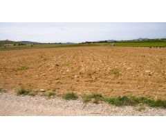 Finca rustica en Venta en Pinós, el/Pinoso, Alicante