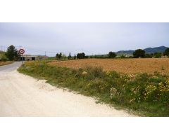 Finca rustica en Venta en Pinós, el/Pinoso, Alicante