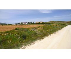 Finca rustica en Venta en Pinós, el/Pinoso, Alicante