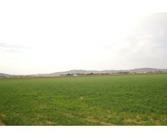Finca rustica en Venta en Yecla, Murcia