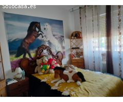 Chalet en Venta en Argamasilla de Calatrava, Ciudad Real