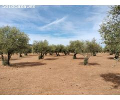 Finca rustica en Venta en Puertollano, Ciudad Real