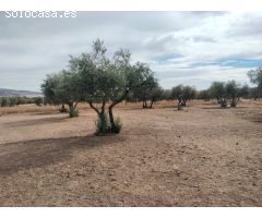 Finca rustica en Venta en Puertollano, Ciudad Real