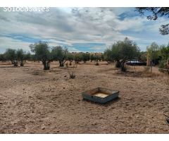 Finca rustica en Venta en Puertollano, Ciudad Real