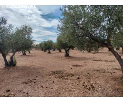 Finca rustica en Venta en Puertollano, Ciudad Real