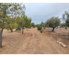 Finca rustica en Venta en Puertollano, Ciudad Real