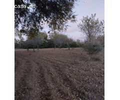 Finca rustica en Venta en Brazatortas, Ciudad Real