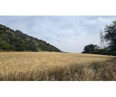 Finca rustica en Venta en Olmeda de las Fuentes, Madrid