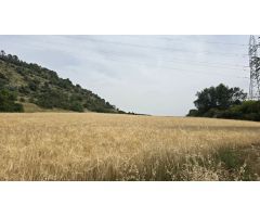 Finca rustica en Venta en Olmeda de las Fuentes, Madrid