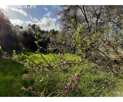 Chalet en Venta en Valverde de Alcalá, Madrid