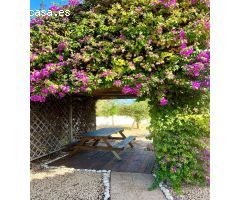 Piso en Venta en Altea la Vella, Alicante