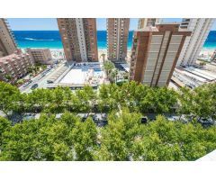 Estudio en Venta en Benidorm, Alicante