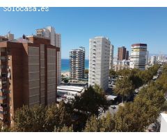 Estudio en Venta en Benidorm, Alicante