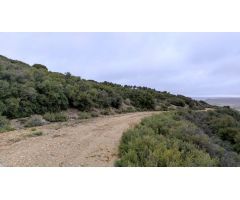 TERRENO RURAL EN DEHESA DE LOS HUEROS