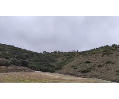 TERRENO RURAL EN DEHESA DE LOS HUEROS