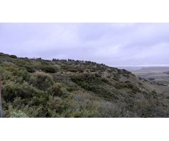 TERRENO RURAL EN DEHESA DE LOS HUEROS