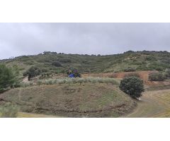 TERRENO RURAL EN DEHESA DE LOS HUEROS