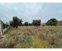 TERRENO RUSTICO EN PERALES DE TAJUÑA.