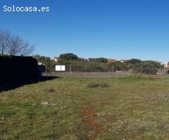 PARCELA URB. LA ARBOLEDA PIOZ