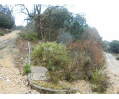 PARCELA DE 600 M2 EN FUENTENOVILLA