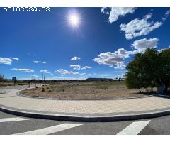 ALQUILER de Suelo Terciario-Comercial en la ZONA EL OLIVAR