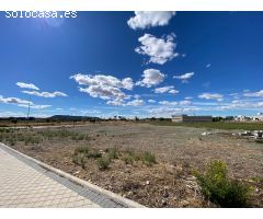 ALQUILER de Suelo Terciario-Comercial en la ZONA EL OLIVAR