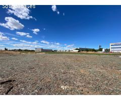 ALQUILER de Suelo Terciario-Comercial en la ZONA EL OLIVAR