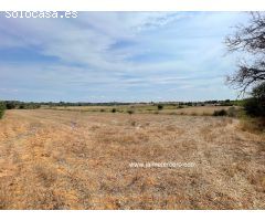 Solar urbano en Venta en Sencelles, Islas Baleares