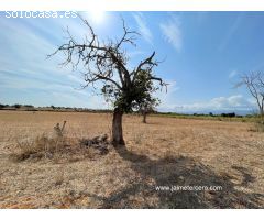 Solar urbano en Venta en Sencelles, Islas Baleares