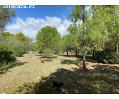 Chalet en Venta en Sencelles, Islas Baleares