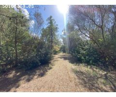 Chalet en Venta en Sencelles, Islas Baleares