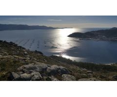 Chalet en Venta en Muros, La Coruña