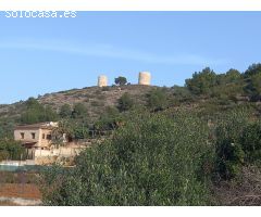Terreno Pedreguer