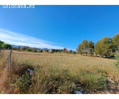 SUELO URBANO EN ZONA DE EXPANSIÓN DE LALCUDIA DE CRESPINS