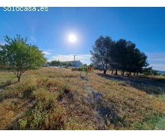 SUELO URBANO EN ZONA DE EXPANSIÓN DE LALCUDIA DE CRESPINS