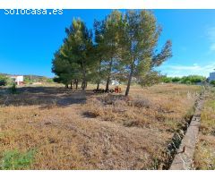 SUELO URBANO EN ZONA DE EXPANSIÓN DE LALCUDIA DE CRESPINS