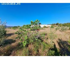 SUELO URBANO EN ZONA DE EXPANSIÓN DE LALCUDIA DE CRESPINS