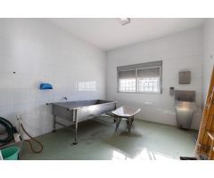 ¡¡ESTUPENDA FINCA RUSTICA PARA EXPLOTACION INDUSTRIAL CON GRAN CASA!!