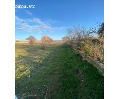 Finca rustica en Alquiler en Cabanillas del Campo, Guadalajara