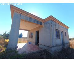 GRAN PARCELA DE 2.320 M/2 CON CASITA DE CAMPO SITUADA EN EL PAGO DEL HUMO.