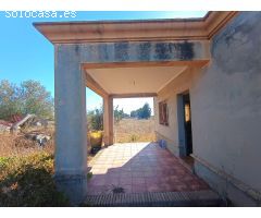 GRAN PARCELA DE 2.320 M/2 CON CASITA DE CAMPO SITUADA EN EL PAGO DEL HUMO.