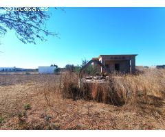 GRAN PARCELA DE 2.320 M/2 CON CASITA DE CAMPO SITUADA EN EL PAGO DEL HUMO.