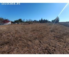 GRAN PARCELA DE 2.320 M/2 CON CASITA DE CAMPO SITUADA EN EL PAGO DEL HUMO.