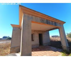 GRAN PARCELA DE 2.320 M/2 CON CASITA DE CAMPO SITUADA EN EL PAGO DEL HUMO.