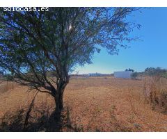 GRAN PARCELA DE 2.320 M/2 CON CASITA DE CAMPO SITUADA EN EL PAGO DEL HUMO.