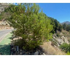 Vistas al mar,2 terrenos juntos en ALTEA se puede hace 2 chalets, en venta OPORTUNIDAD!